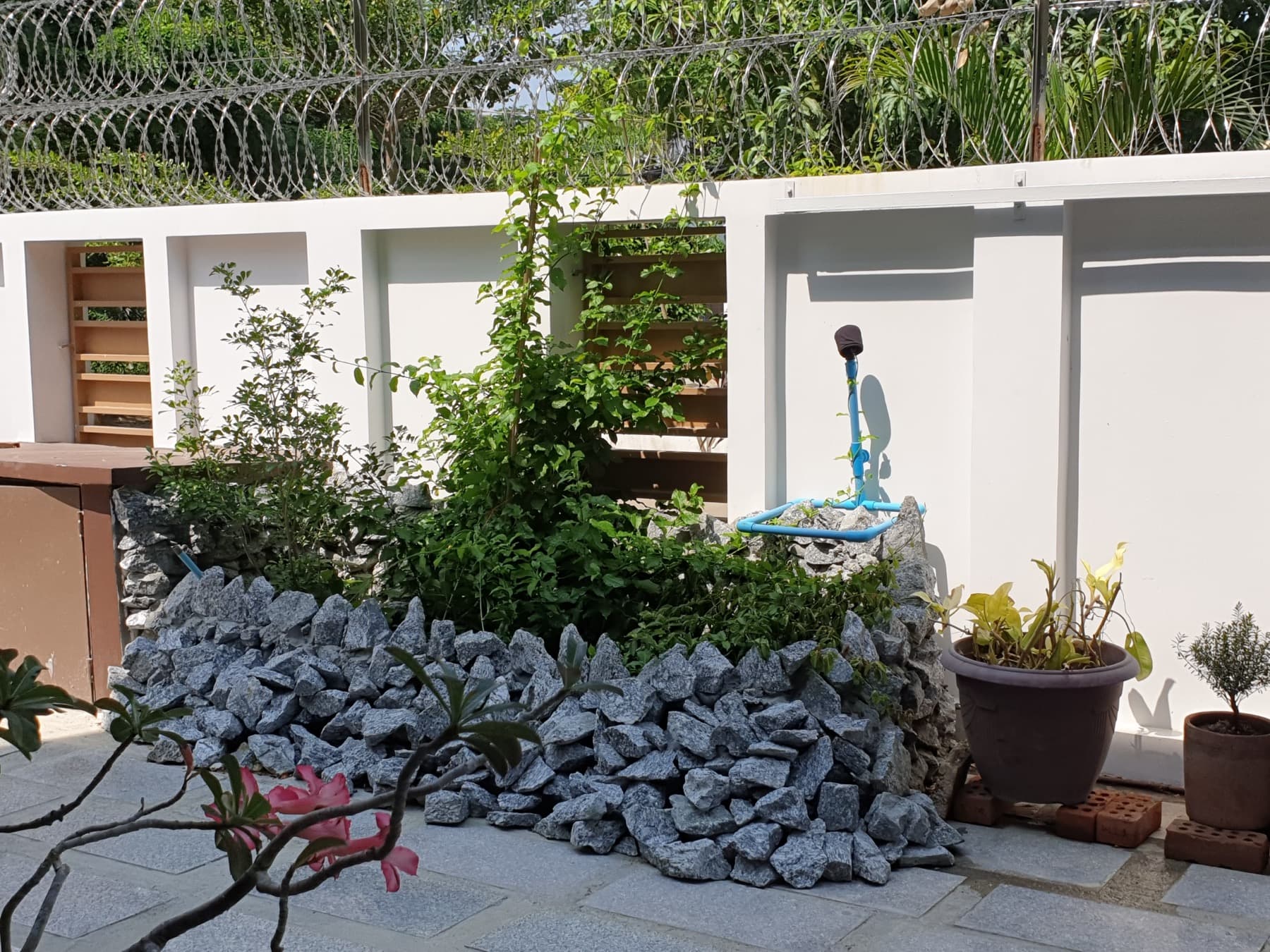 AAP Residence, Garden